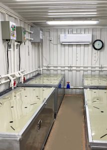 Concrete Curing Room